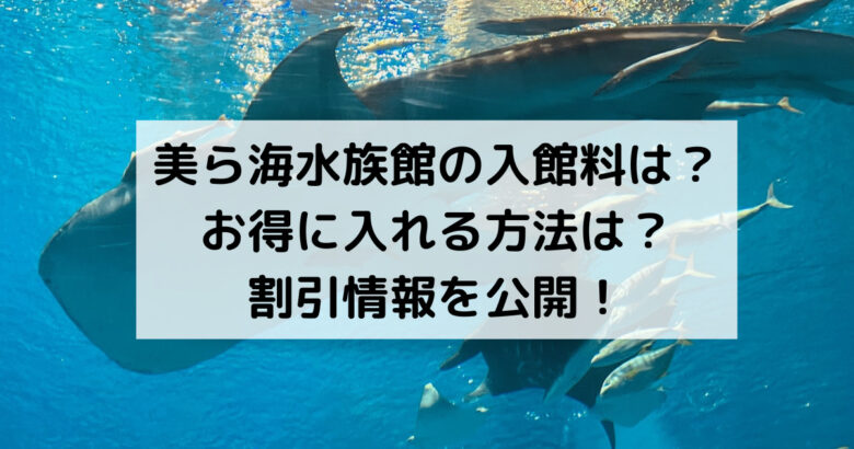 沖縄美ら海水族館チケット3枚セット
