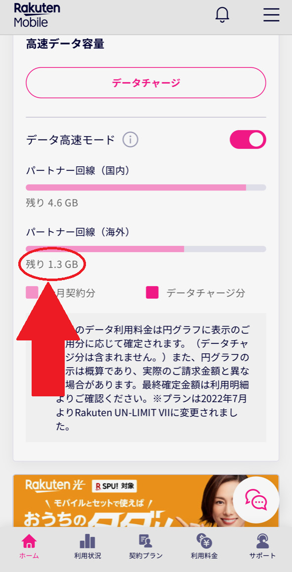 楽天モバイル_海外_利用量