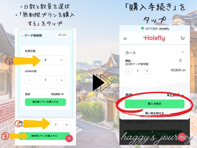 Holafly韓国向け、購入手順