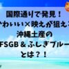 国際通、沖縄土産、FSGB & ふしぎブルー