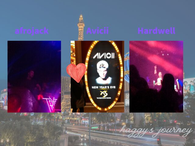 afrojack、Avicii、Hardwell