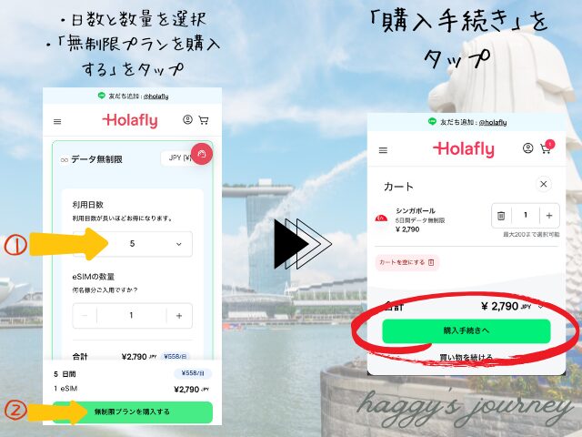 Holafly、シンガポール向け、購入方法