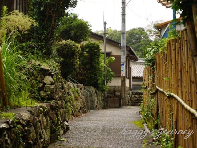 渡鹿野島_道