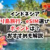 バリ島、eSIM