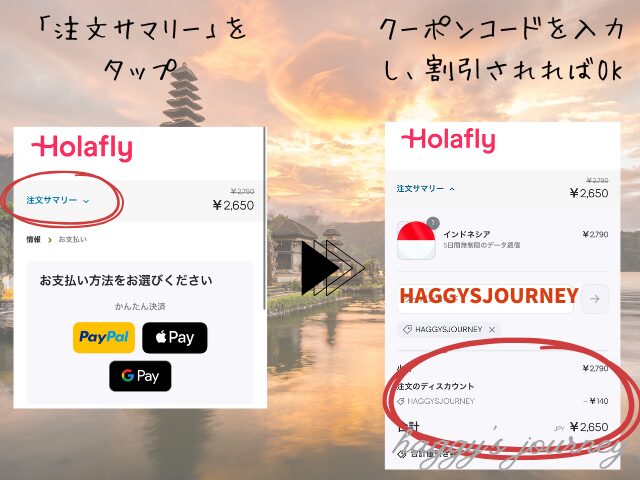 Holafly,インドネシア向け購入方法②