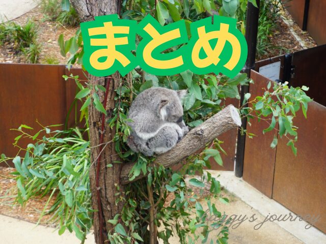 タロンガ動物園、コアラ