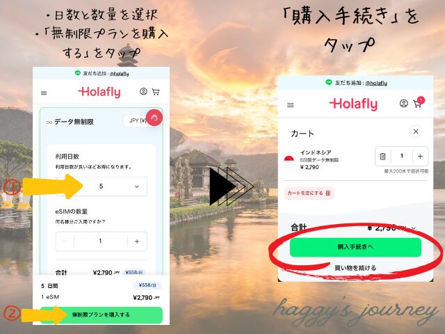 Holafly,インドネシア向け購入方法①